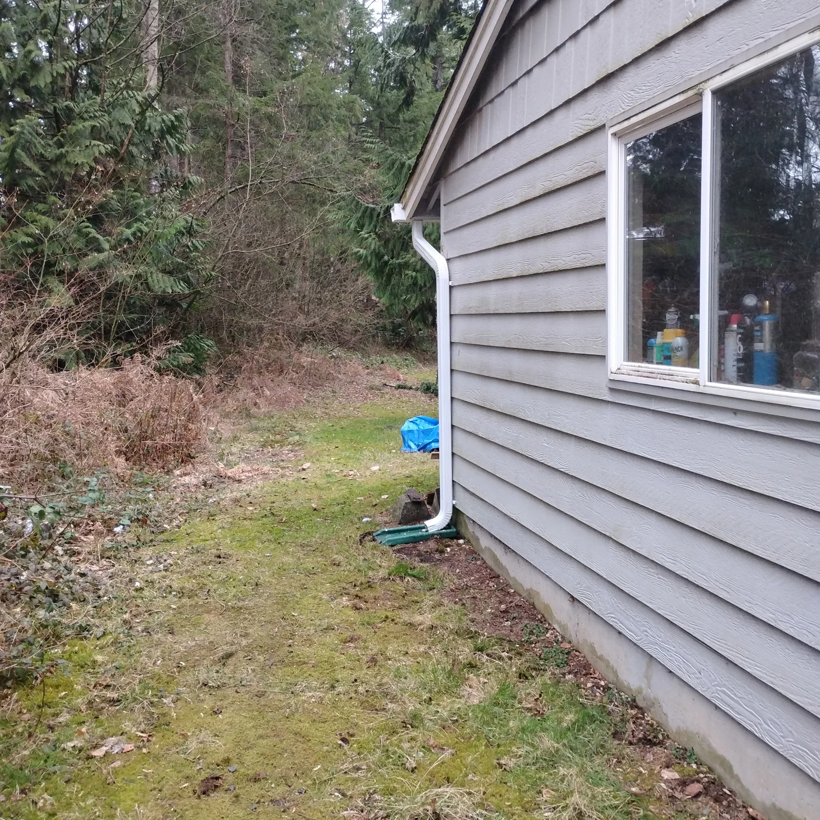 White aluminum gutters and downspout extension on gray fiber cement siding with drainage pipe