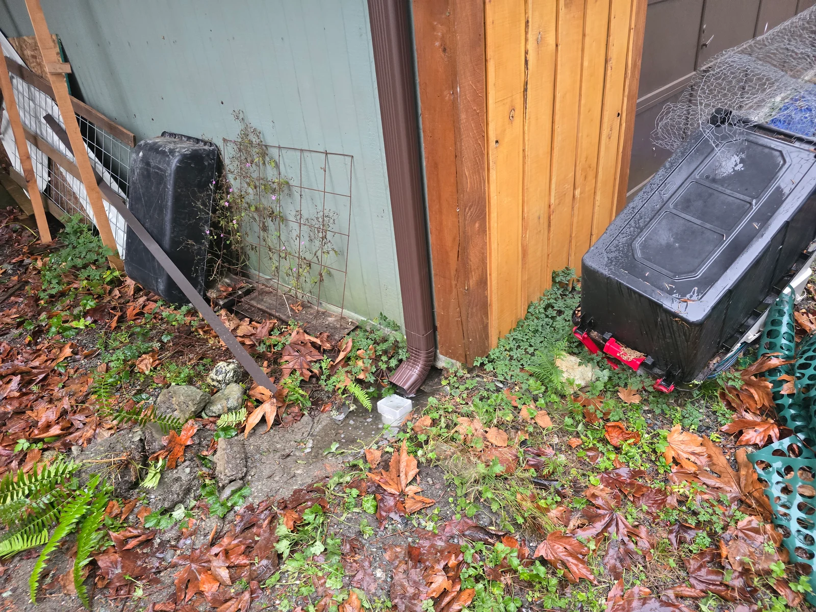 Clogged gutter with leaves and debris next to wooden structure and metal downspout